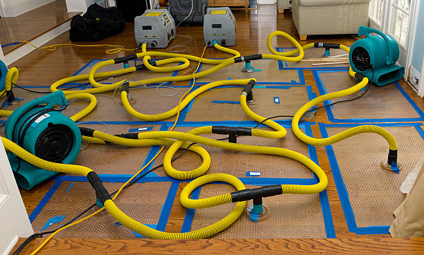 Professional Crawl Space Water Removal technician working in Harrison, NY